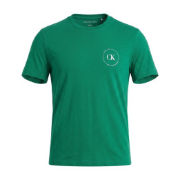 Calvin Klein Męski T-shirt Zielony z nadrukiem
